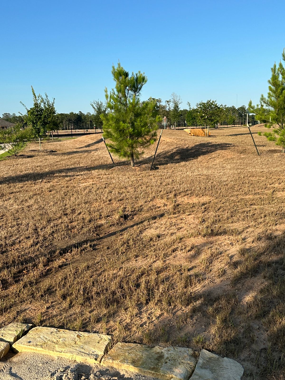 Hole 2 approach