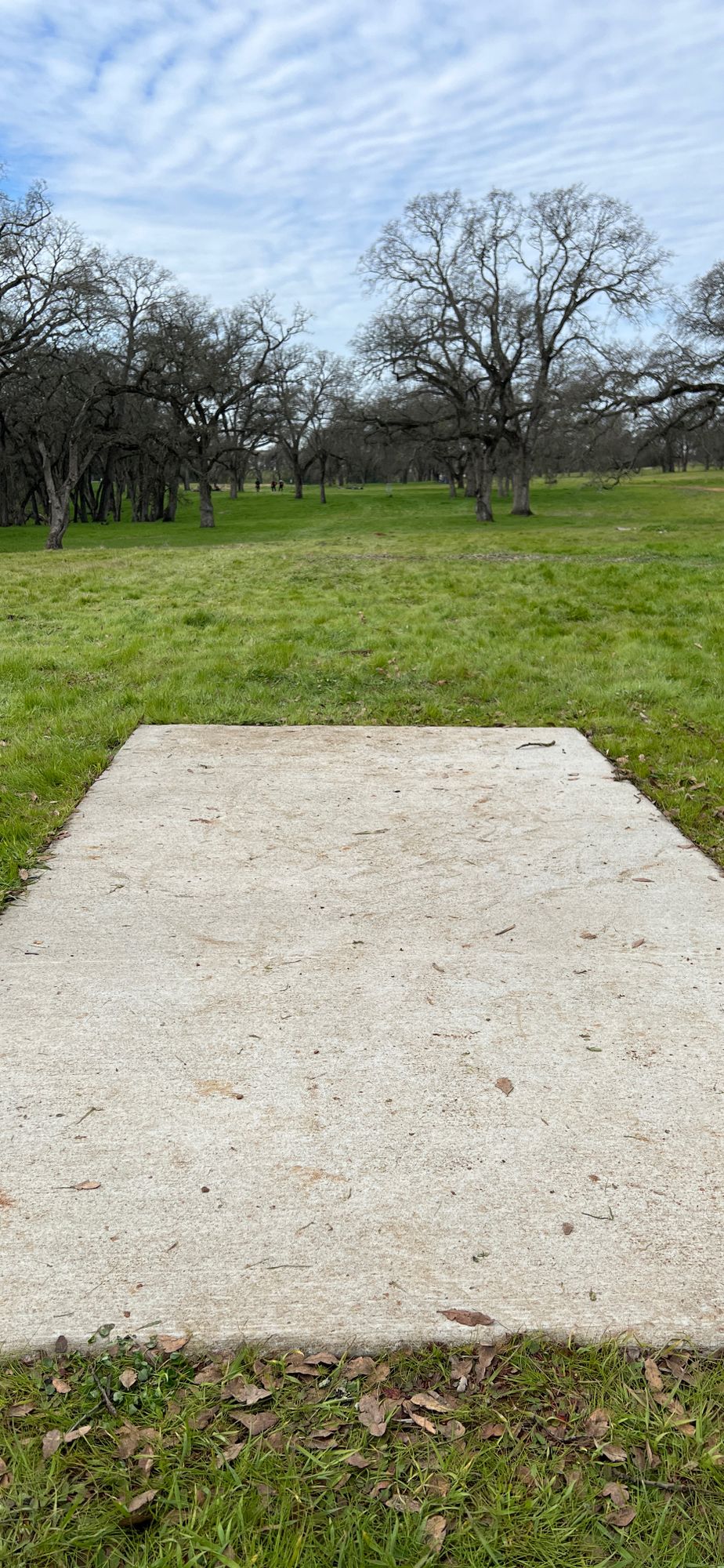 Hole 13