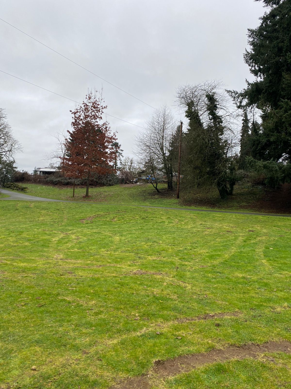 Upper area
