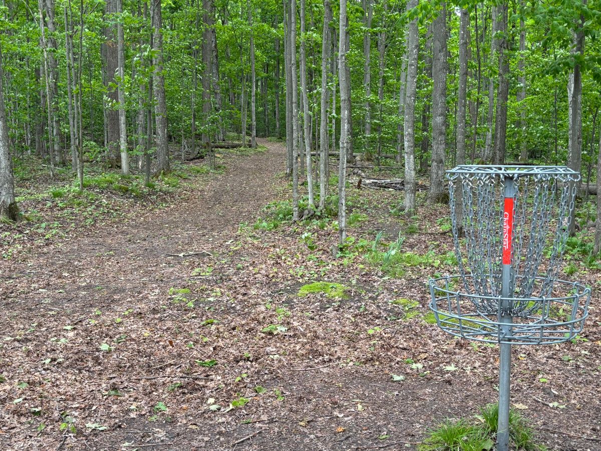 Backwards down 8