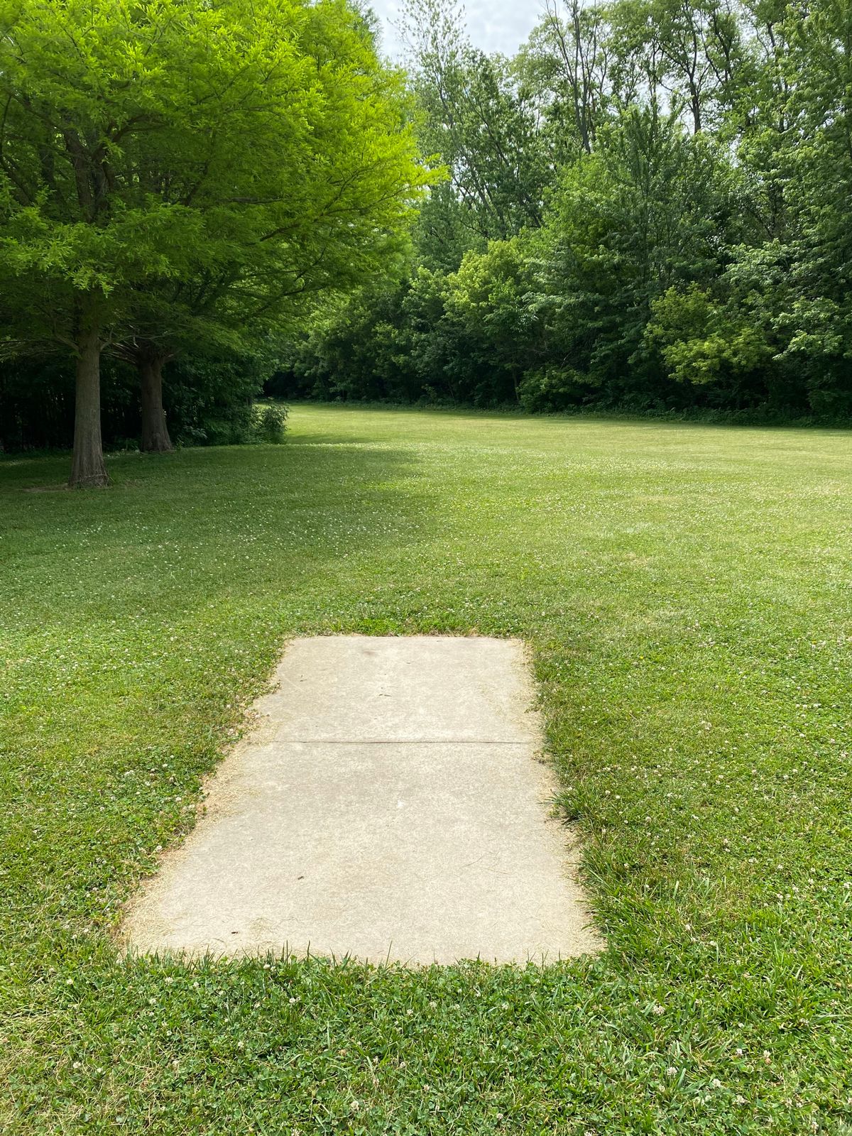 Hole 15 (Tee Box)