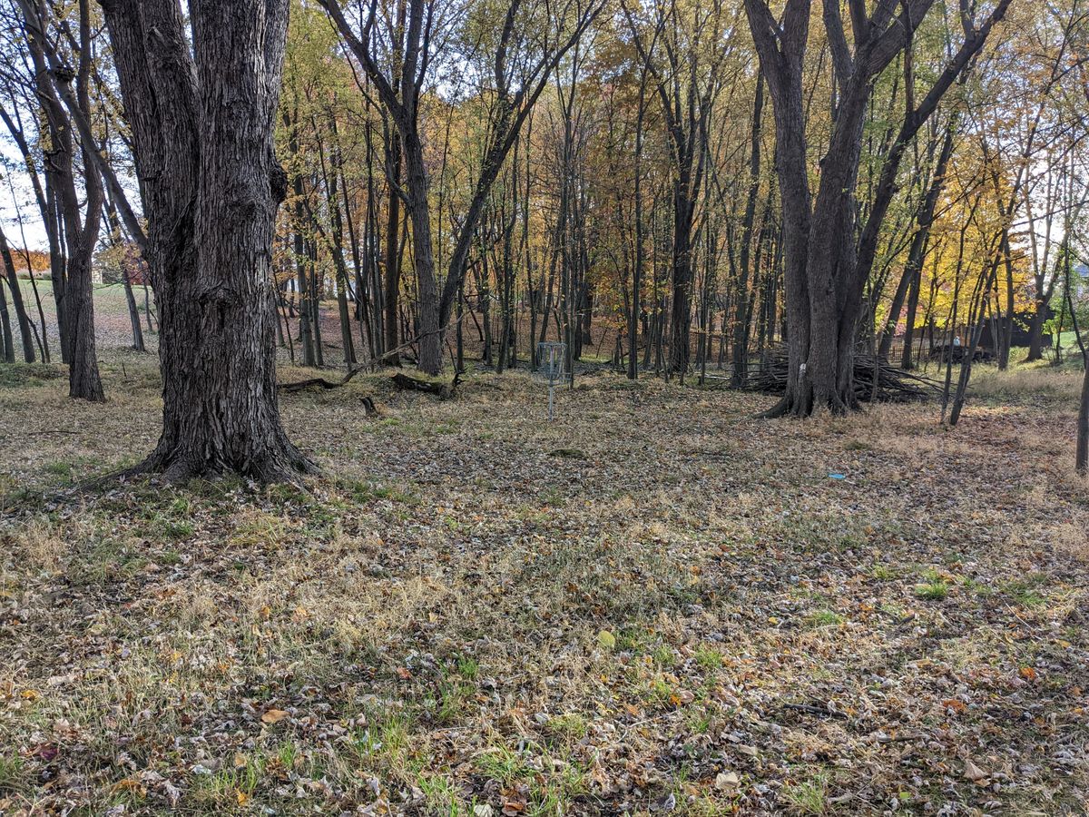 Hole 13 green