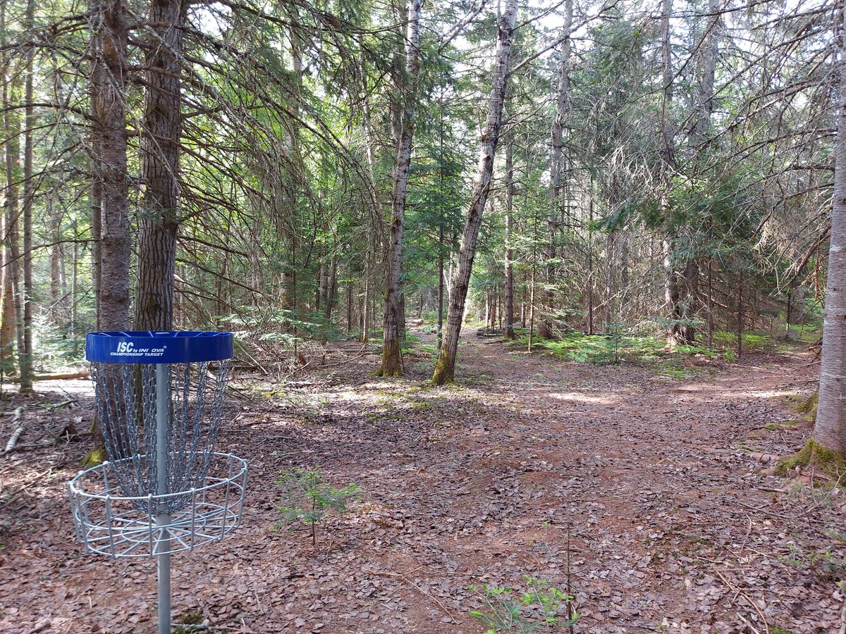 Reverse back up the fairway on hole 6. 🍁🌲🍁🌲🍁🌲