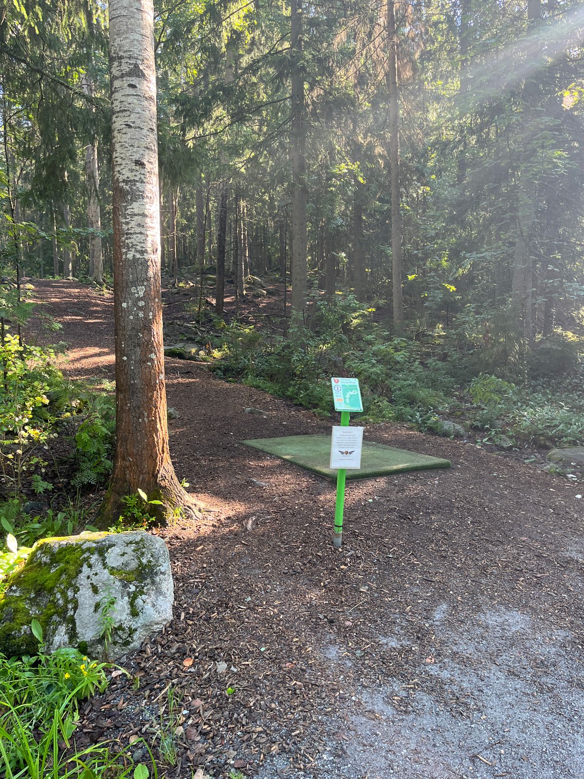 Hole 1 tee
