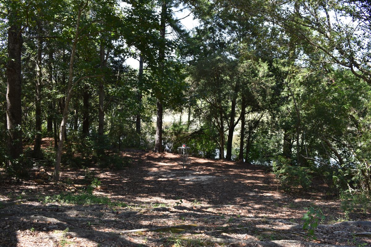 Hole 5’s Basket