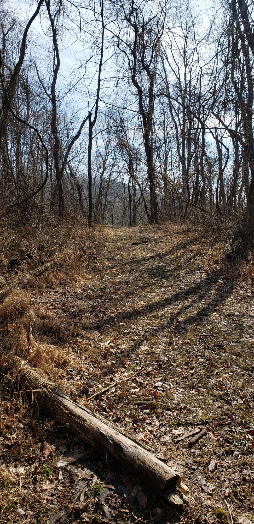 Hole 17