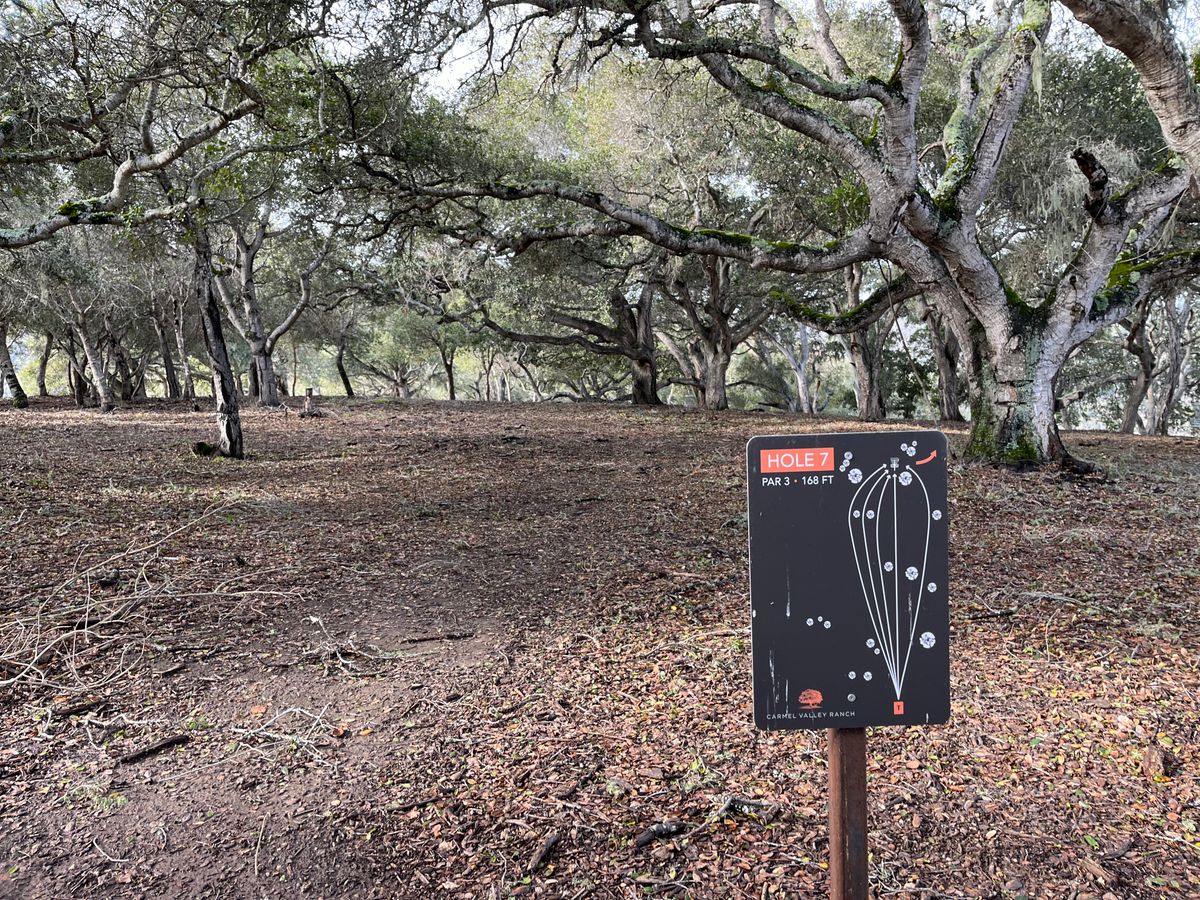 Hole 7 - par 3 168ft