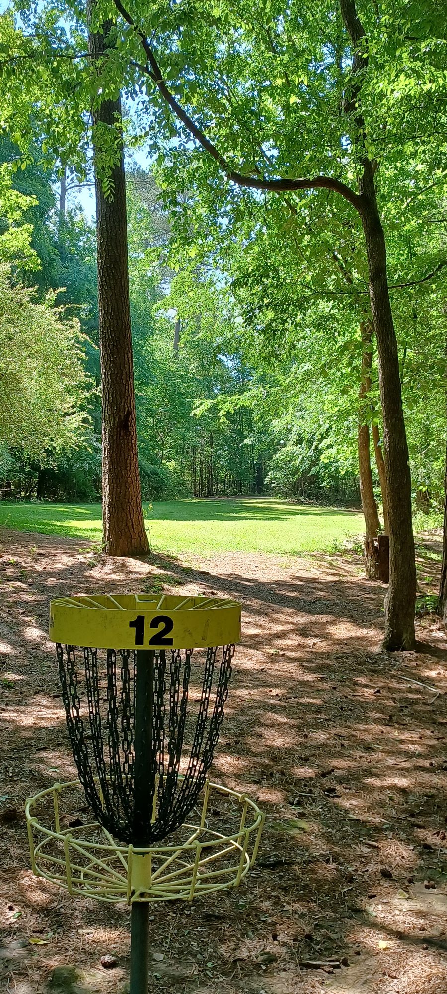 #12 (287') view from behind pin 