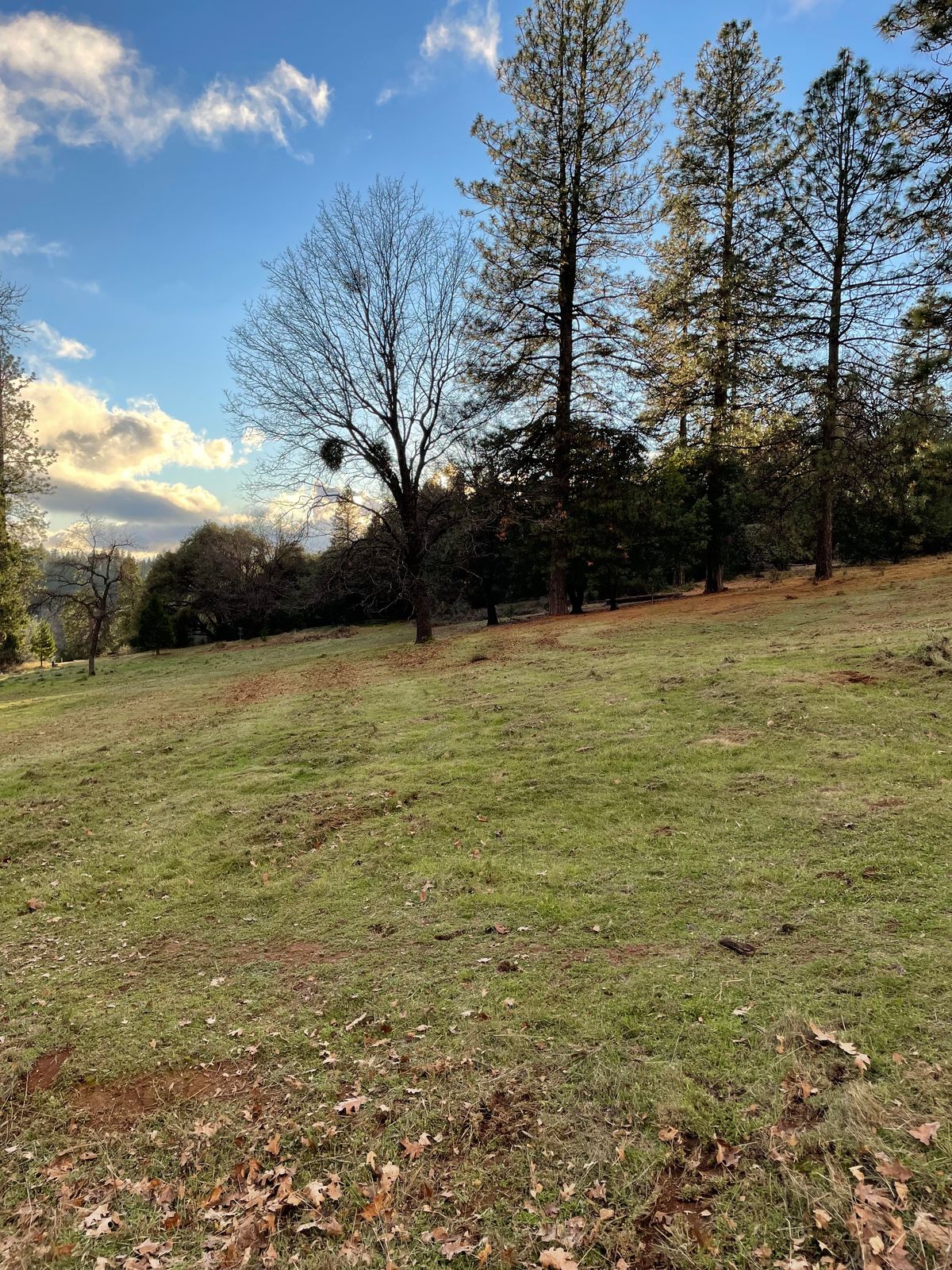 Fairway, Mollie Joyce