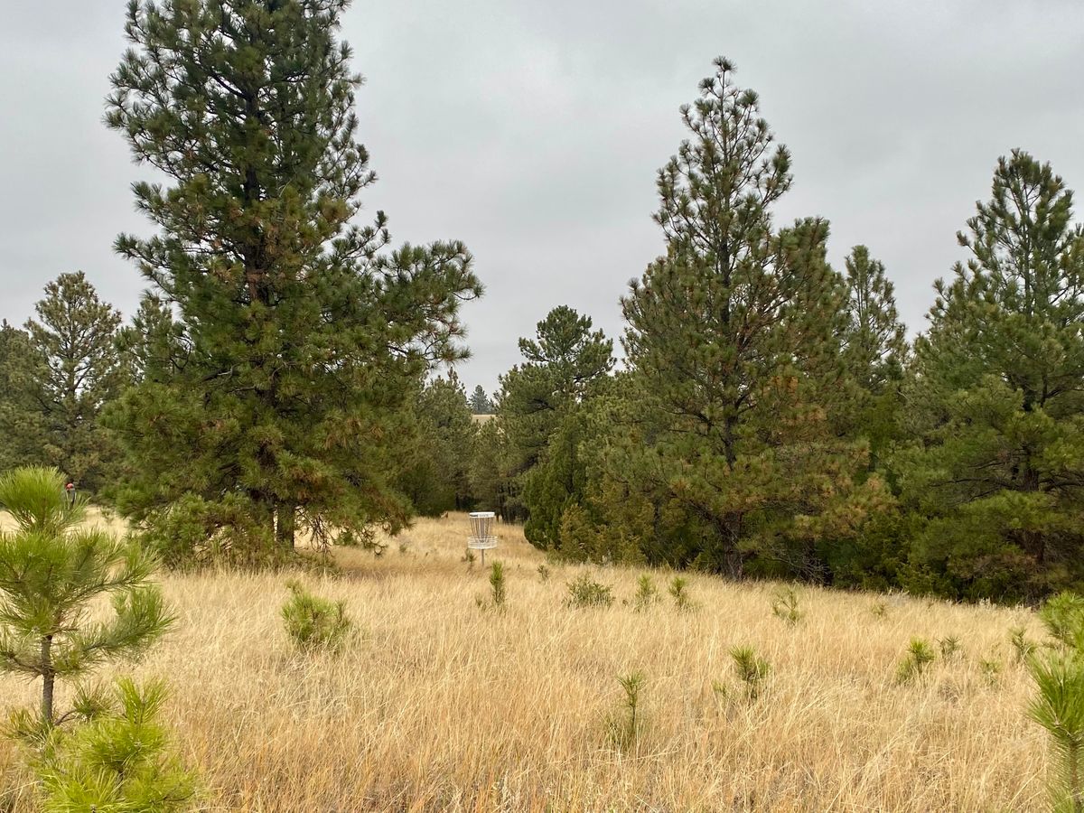 Hole 11 B pin