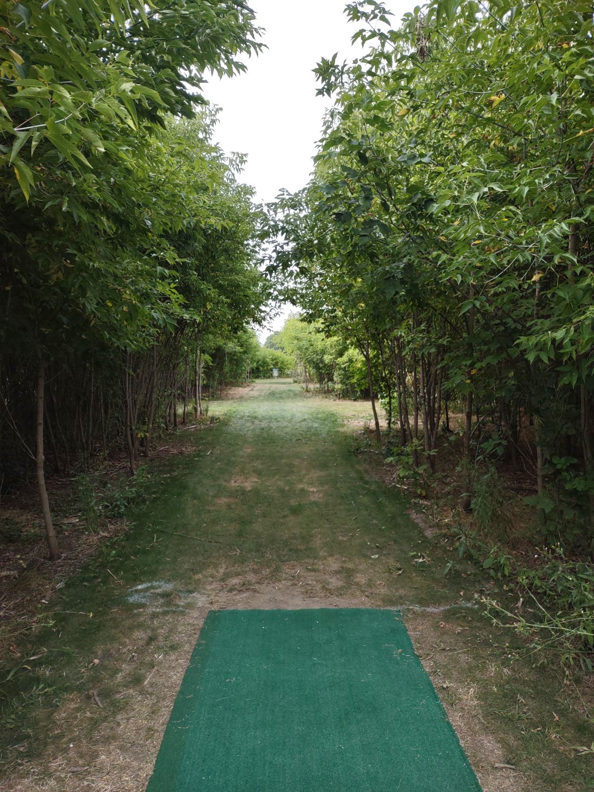 Hole 2 tee