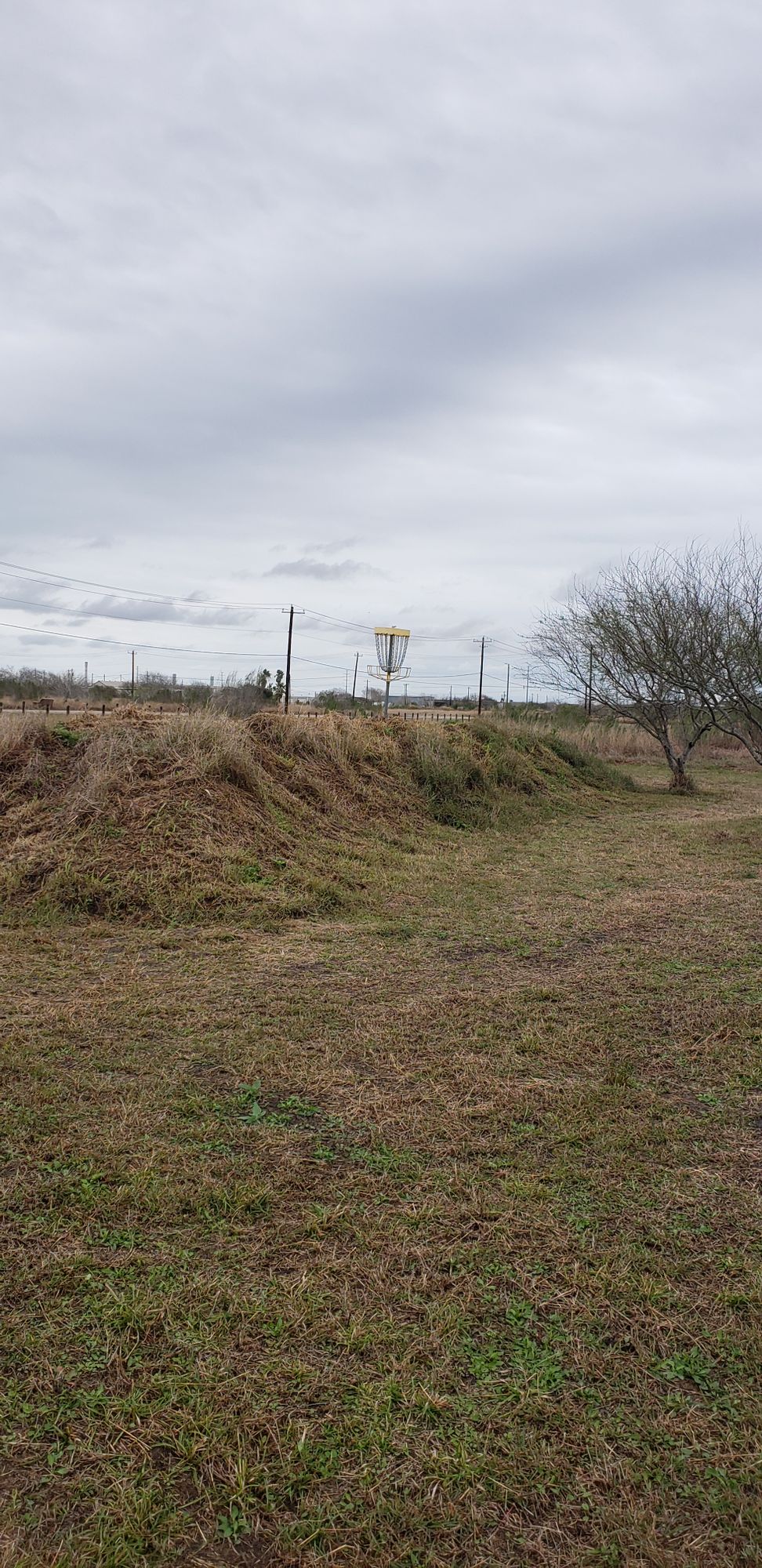 Hole #18 basket