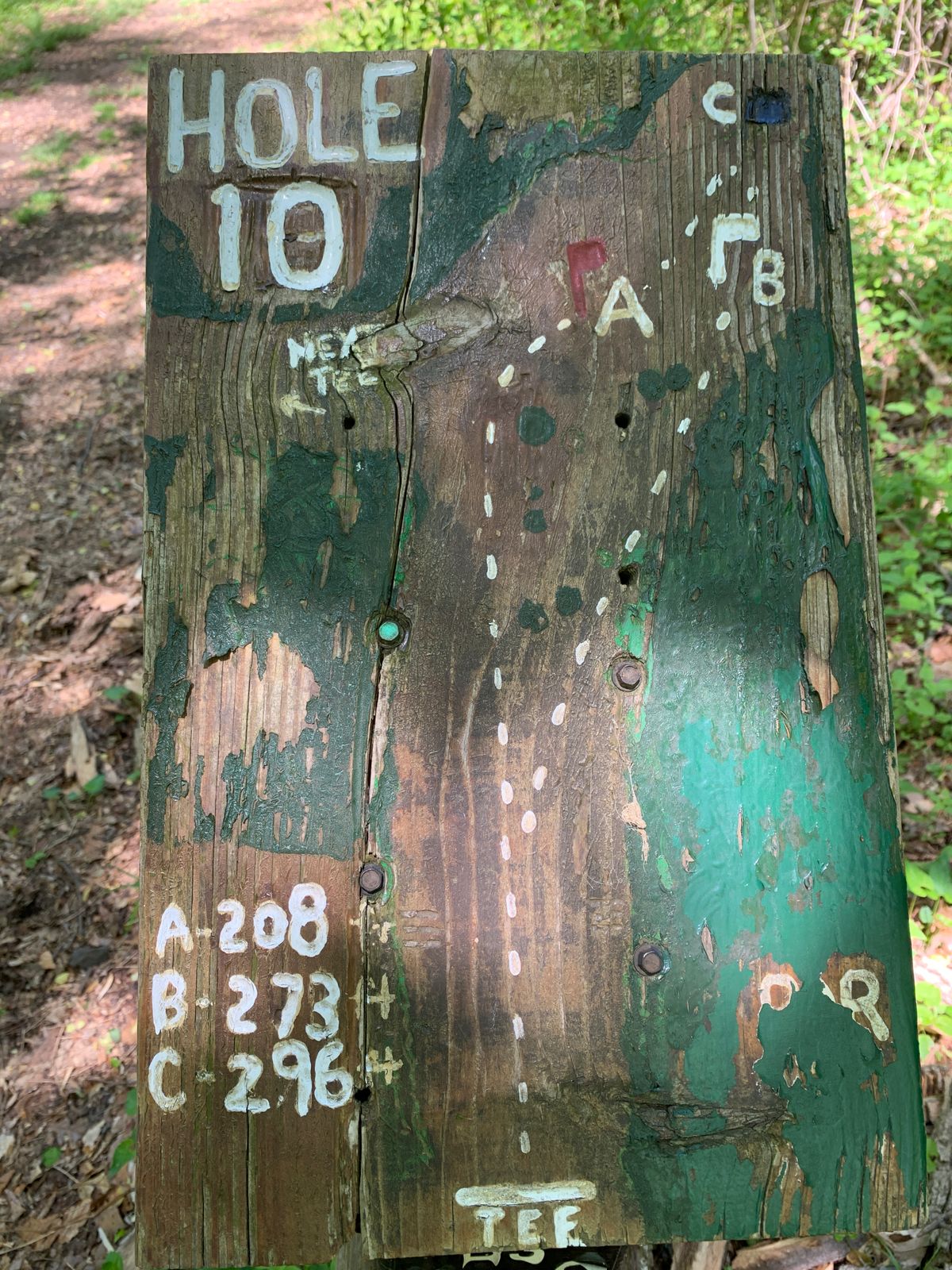 Hole 10 Map
