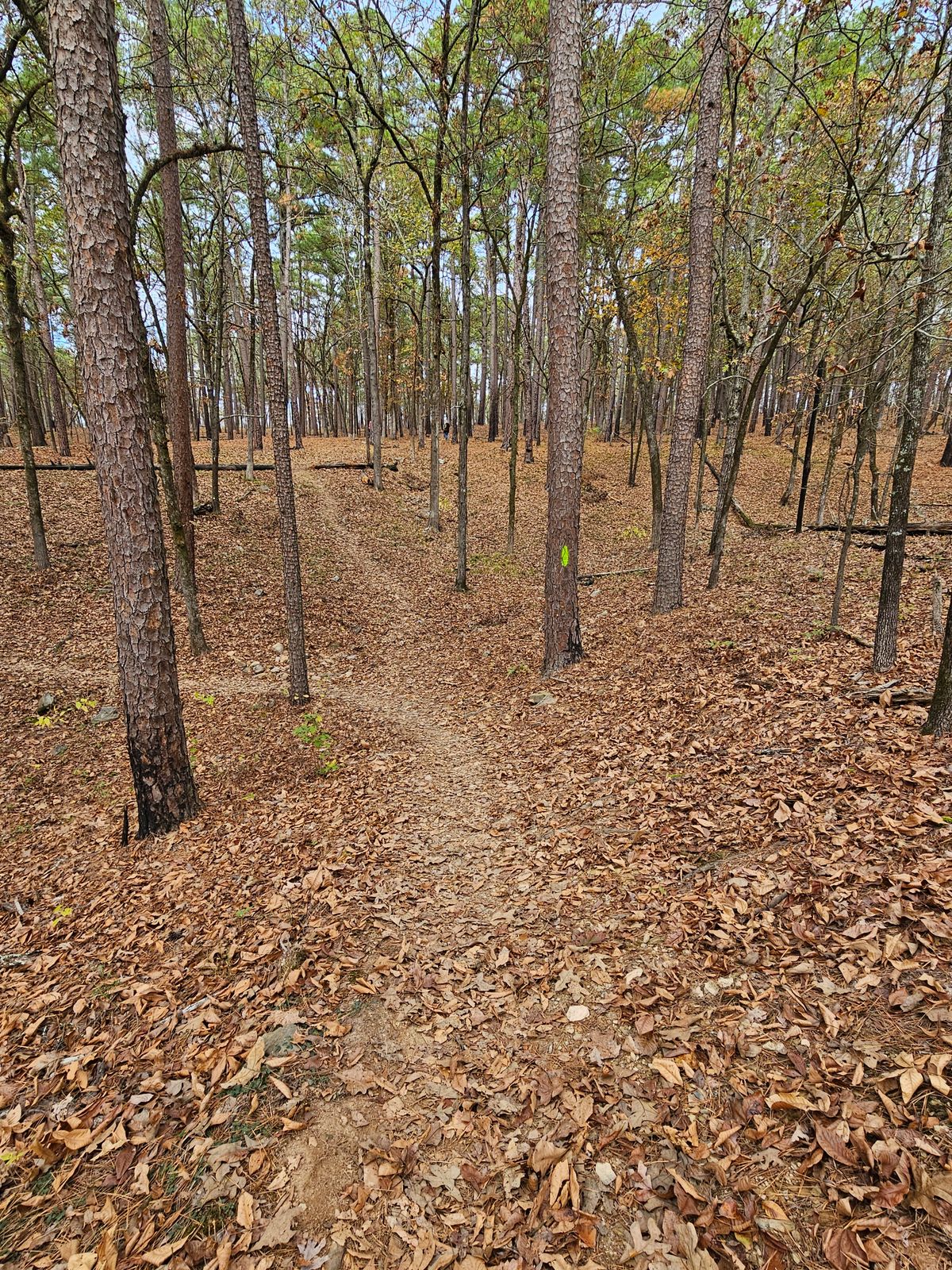 Hole 5