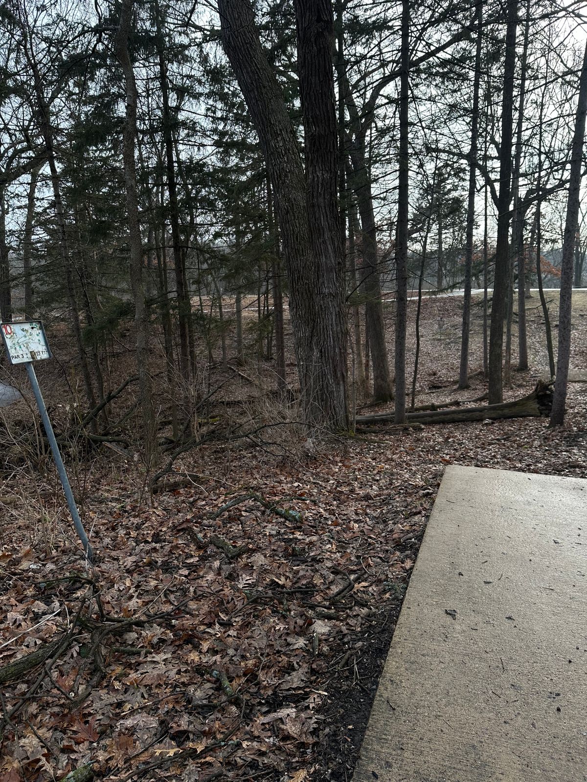 Hole #10 hit the gap and get an ace