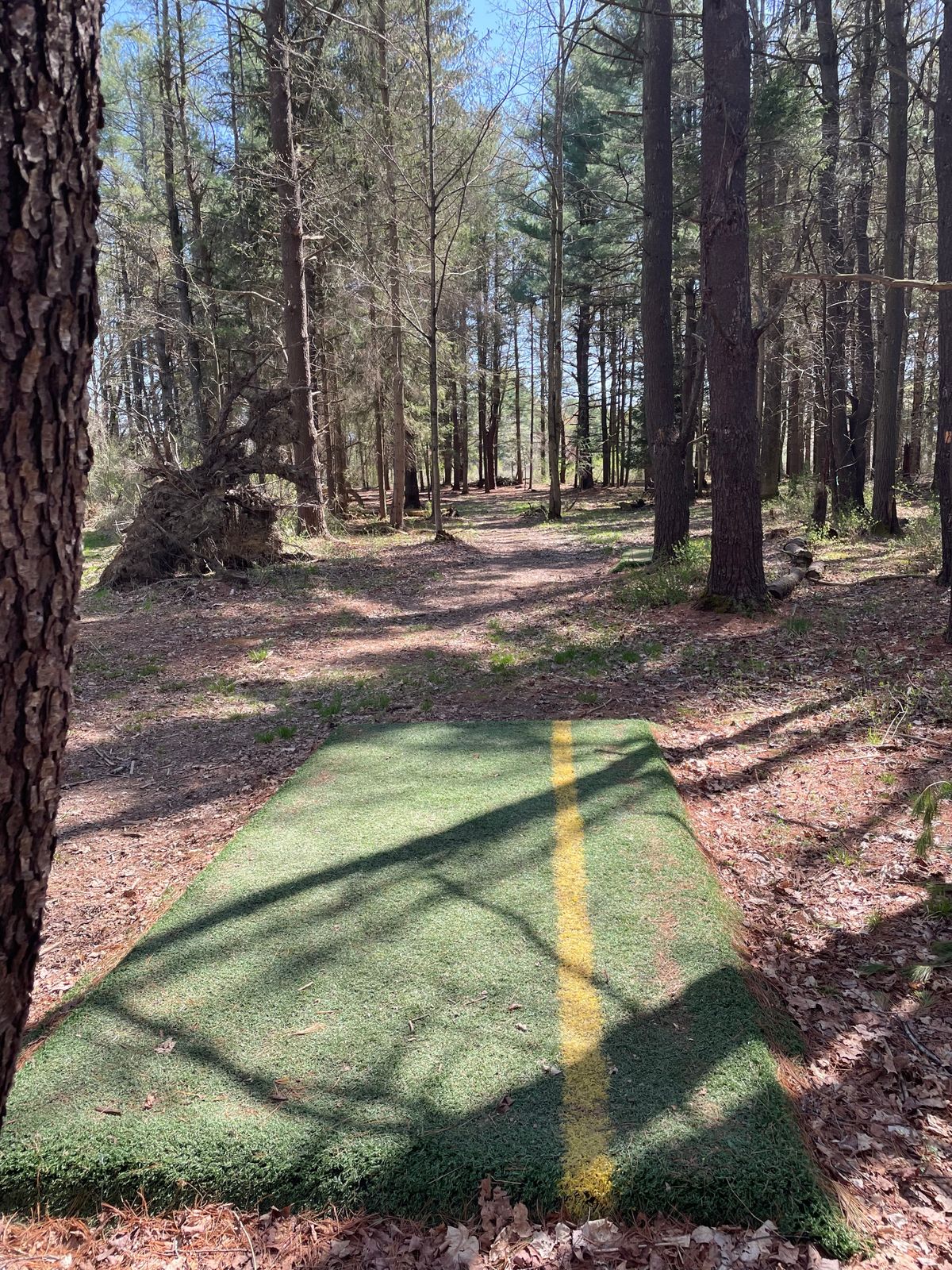 Hole 12, Blue (Long) tee.