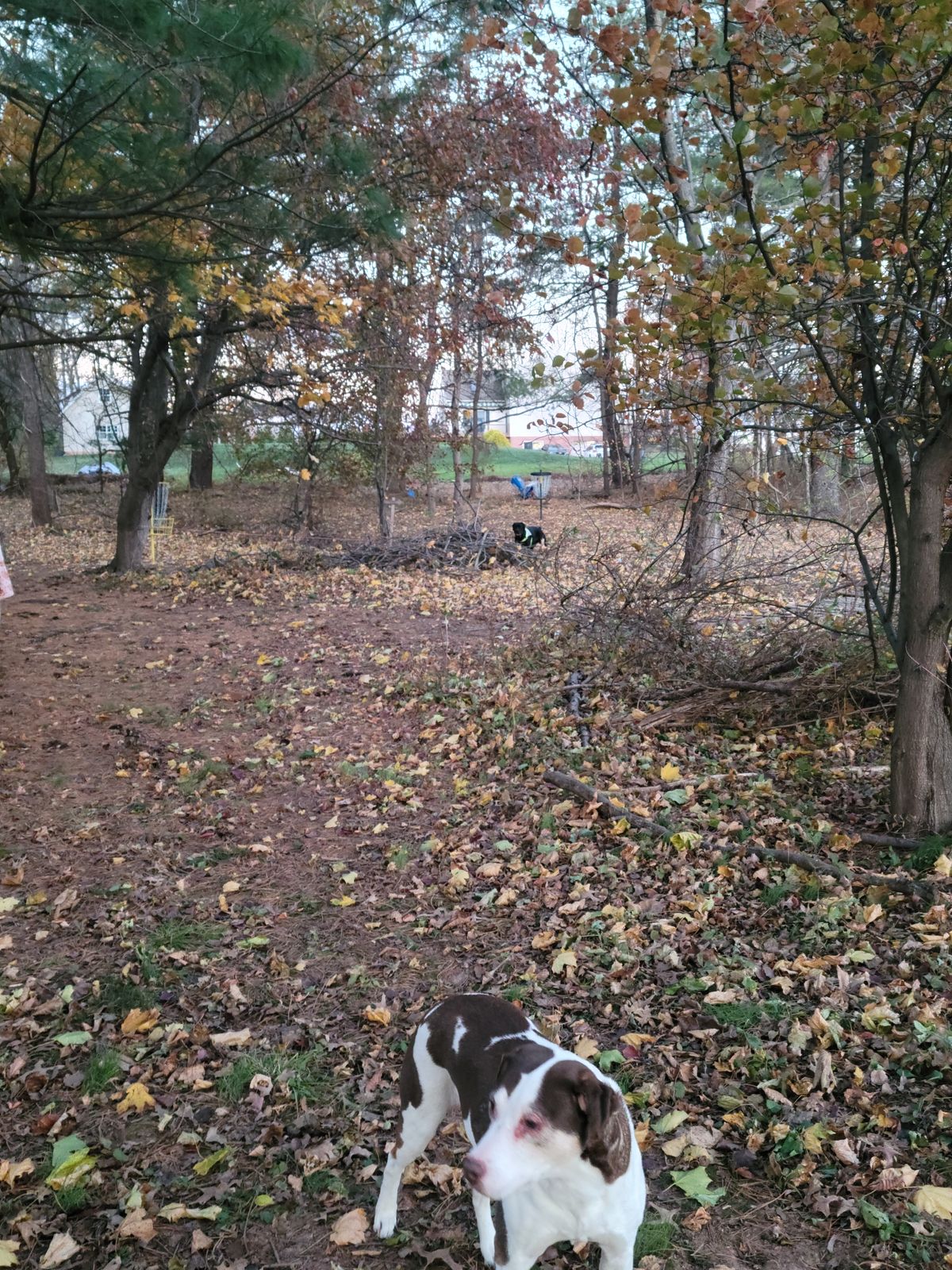 Hole 9 up the middle Mando left