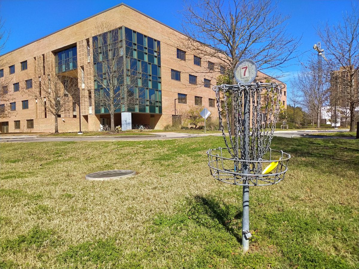 Hole 7 basket