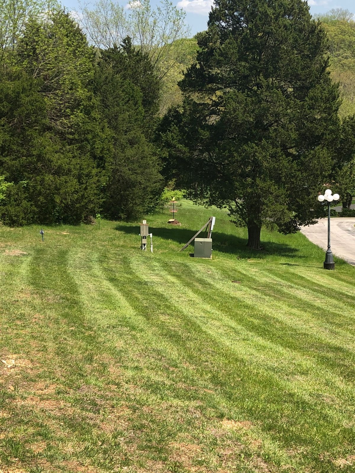 Another glimpse at the downhill basket behind that pine tree.