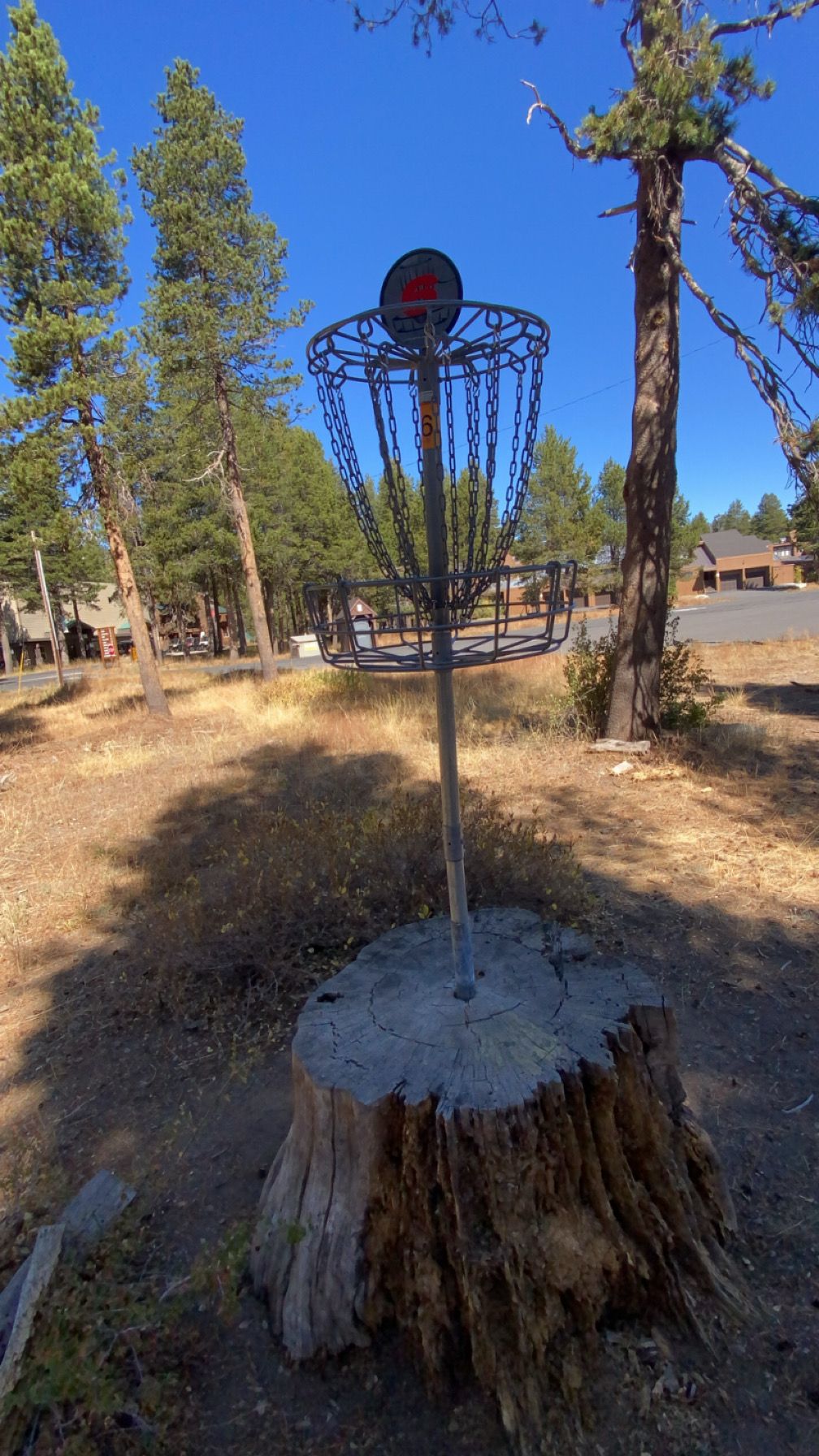 Hole 6 elevated basket after tight tunnel shot