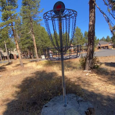 Hole 6 elevated basket after tight tunnel shot