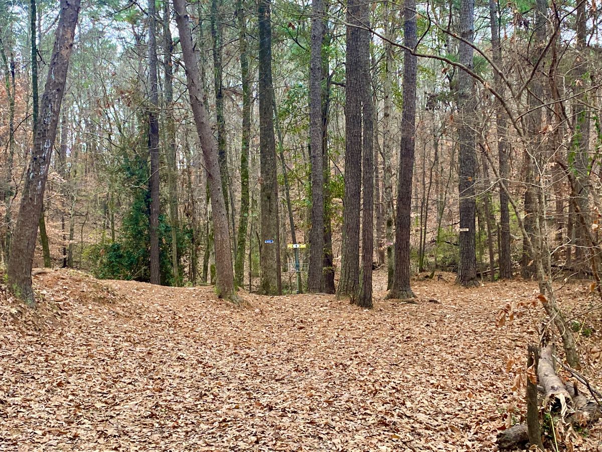 Hole 1 Basket A