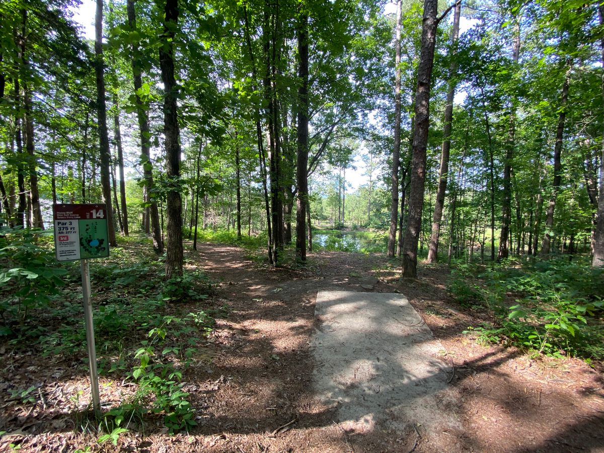 Hole 14
