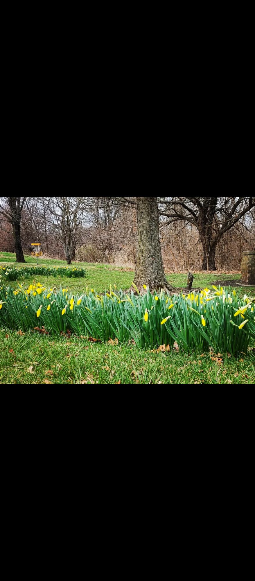 Hole 12 in spring