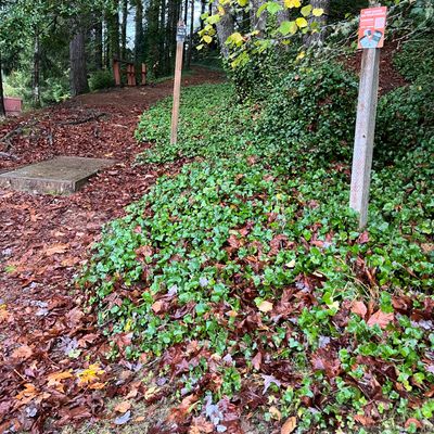 UDisc updated Nov 2022