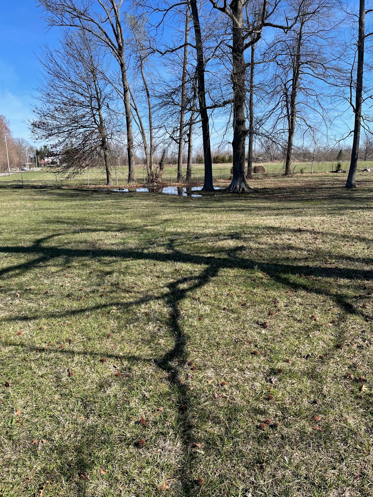 Water everywhere