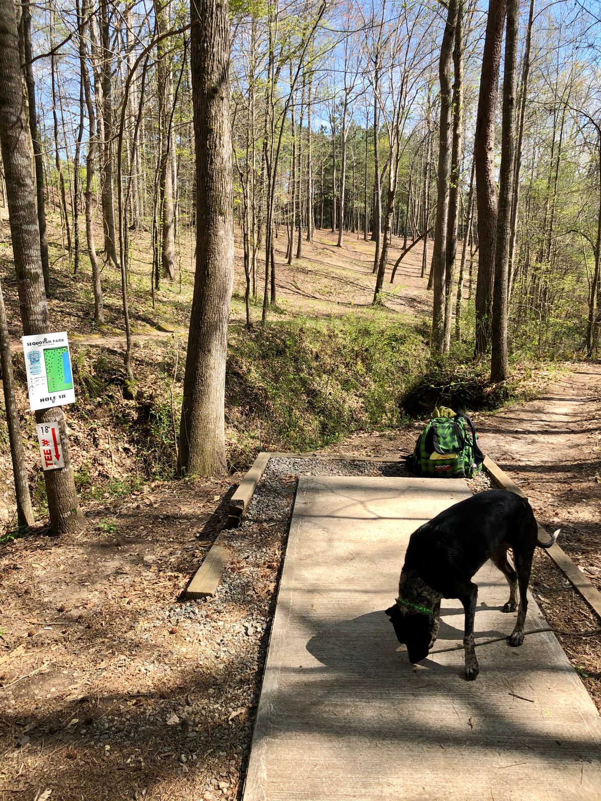Tee 18