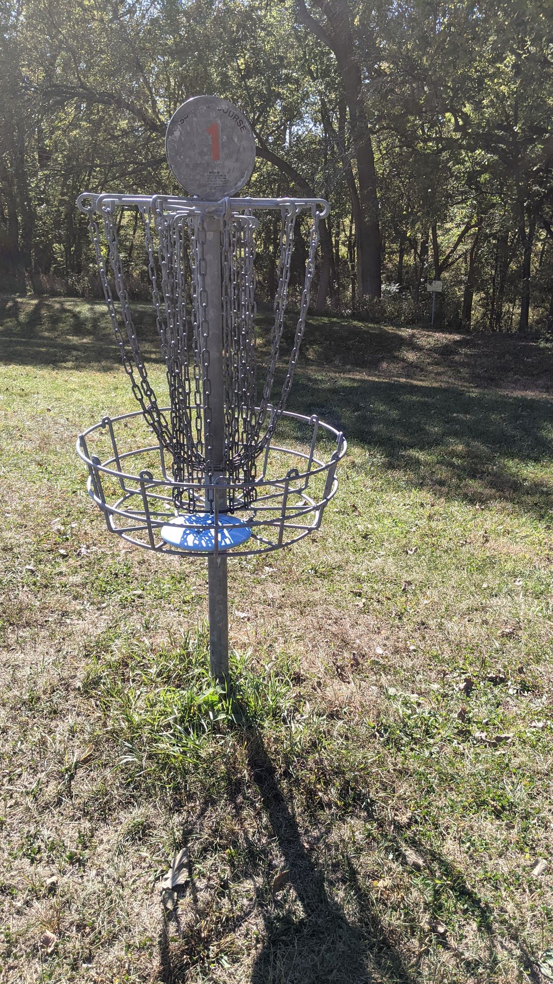 #1 Basket with #2 Tee in view behind.