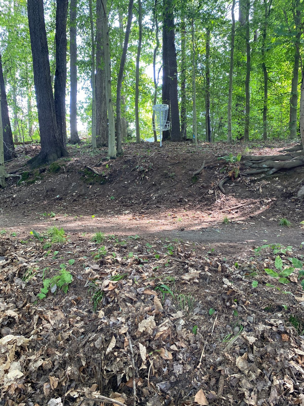 Hole 1 basket