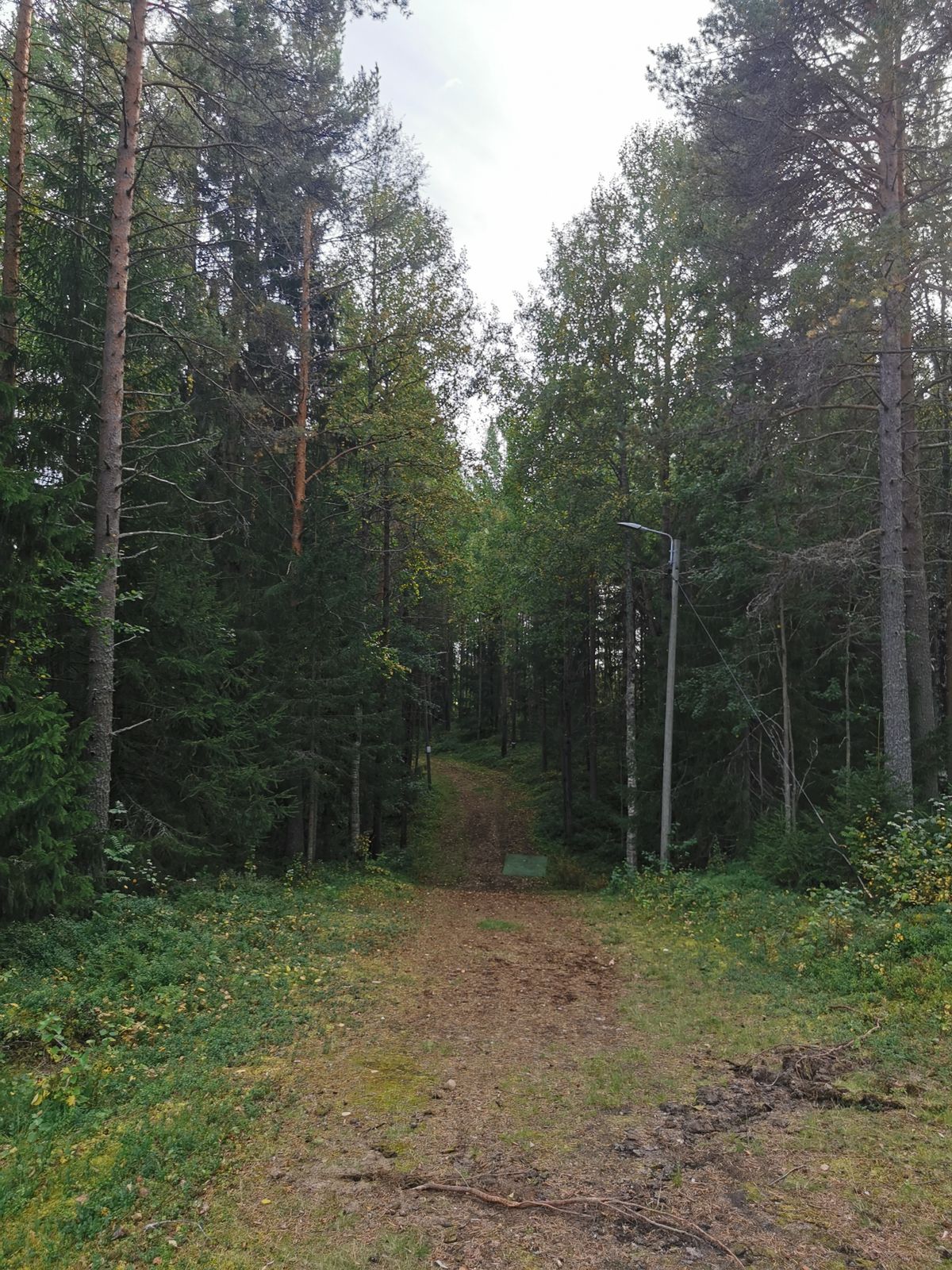 Fairway Hål 9