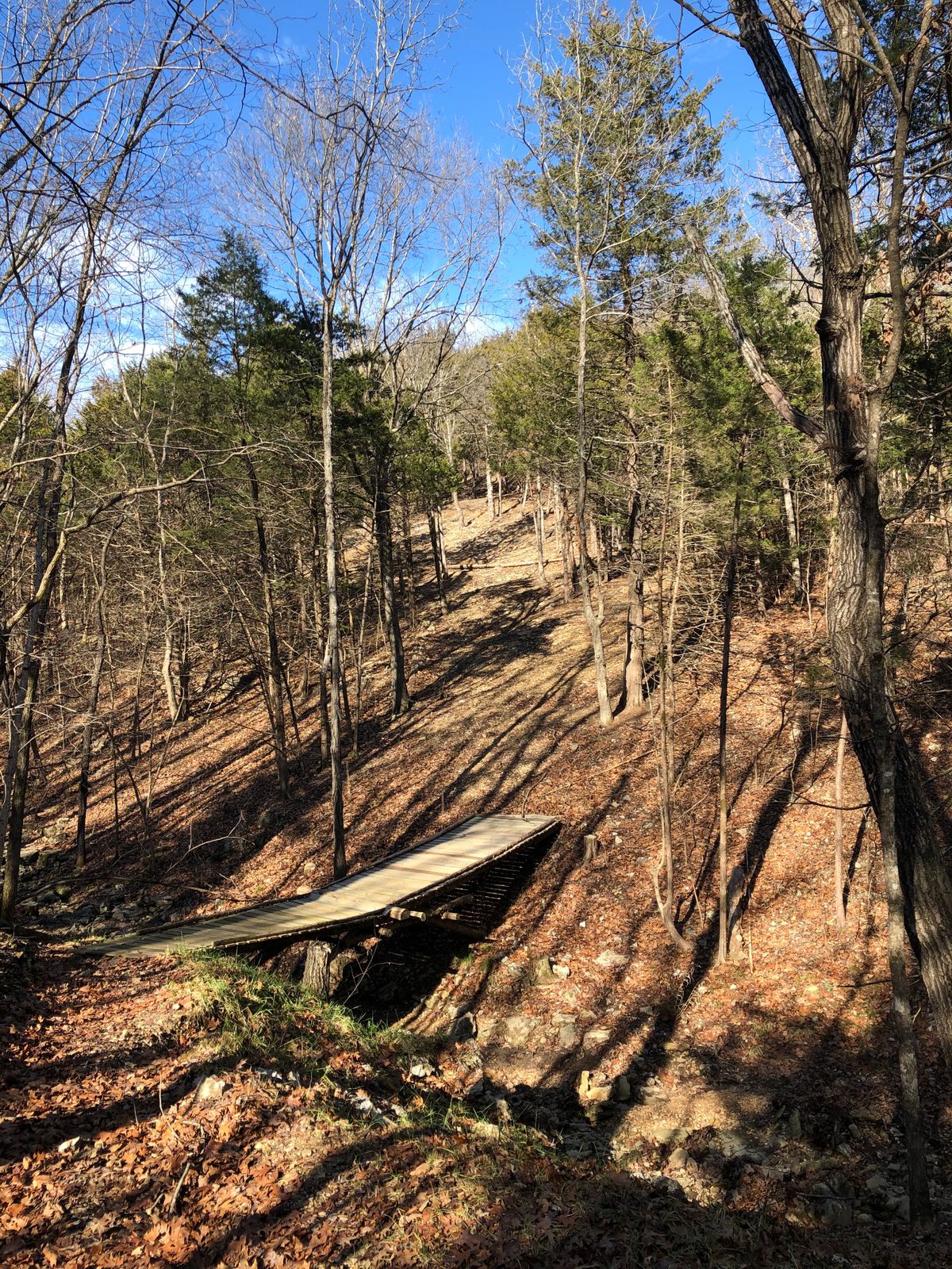 Hills and trees! So much fun.