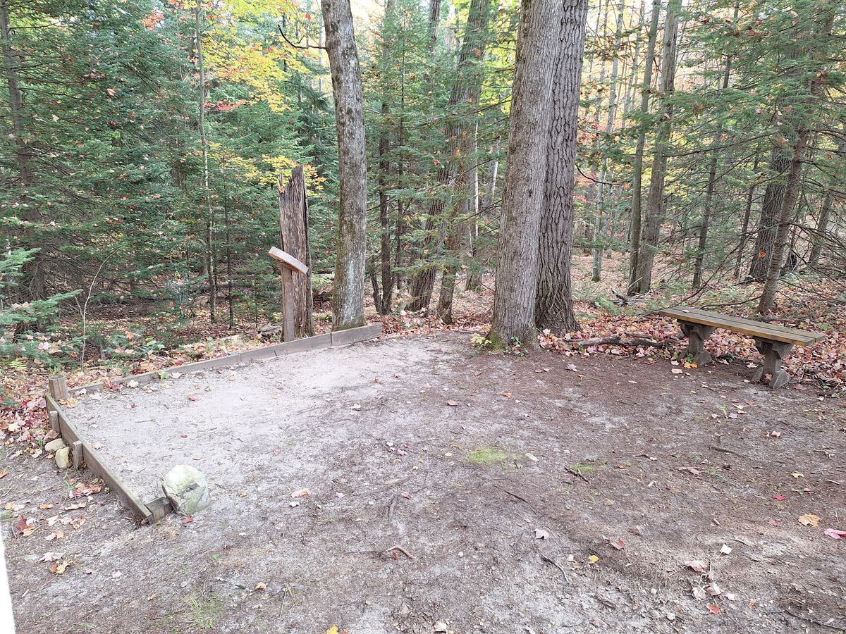 Tee pad area of 7, serene spot in the woods.