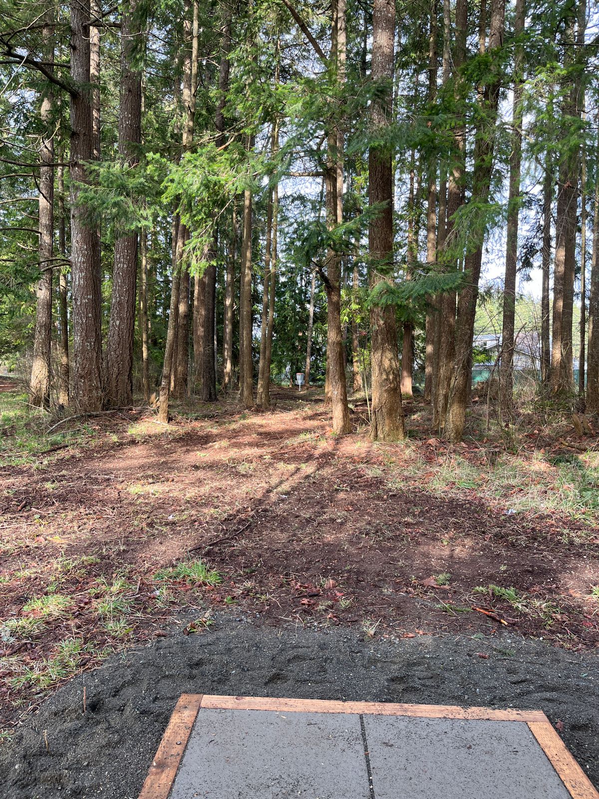 Hole 5