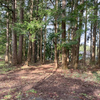 Hole 5