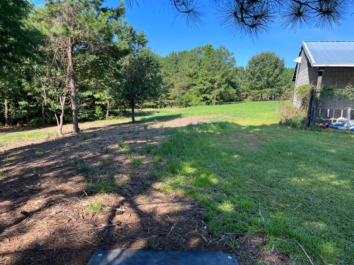 Hole 1 tee box