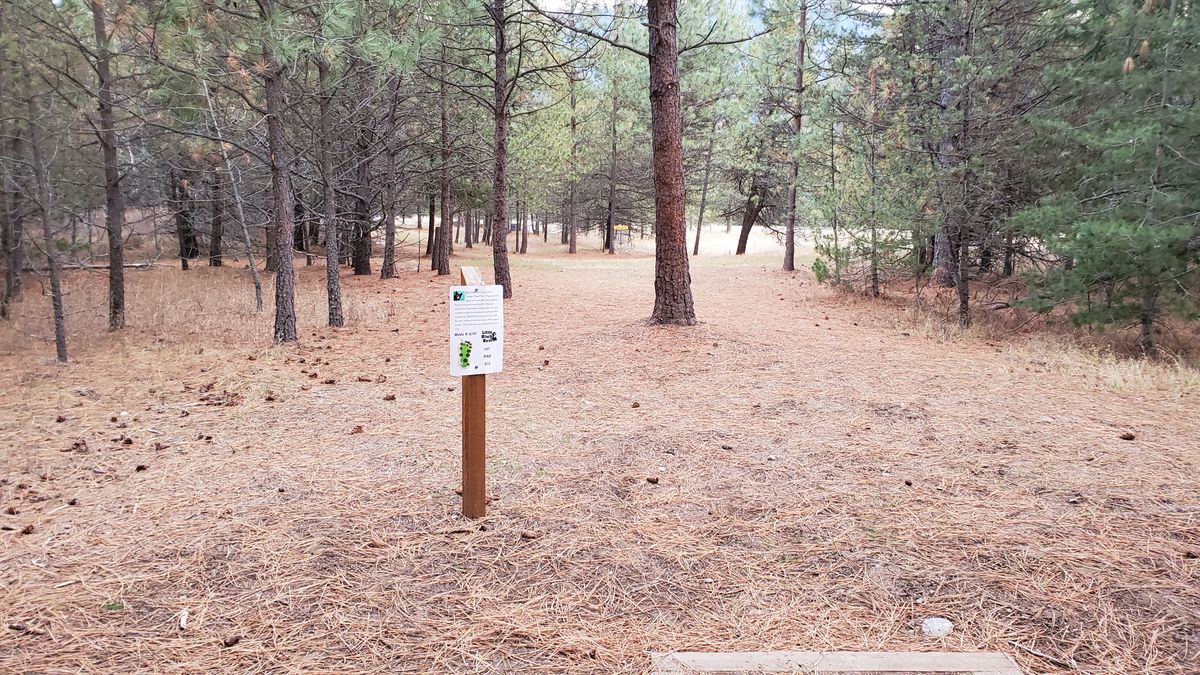 Tee pad hole 17/8 [9 hole]