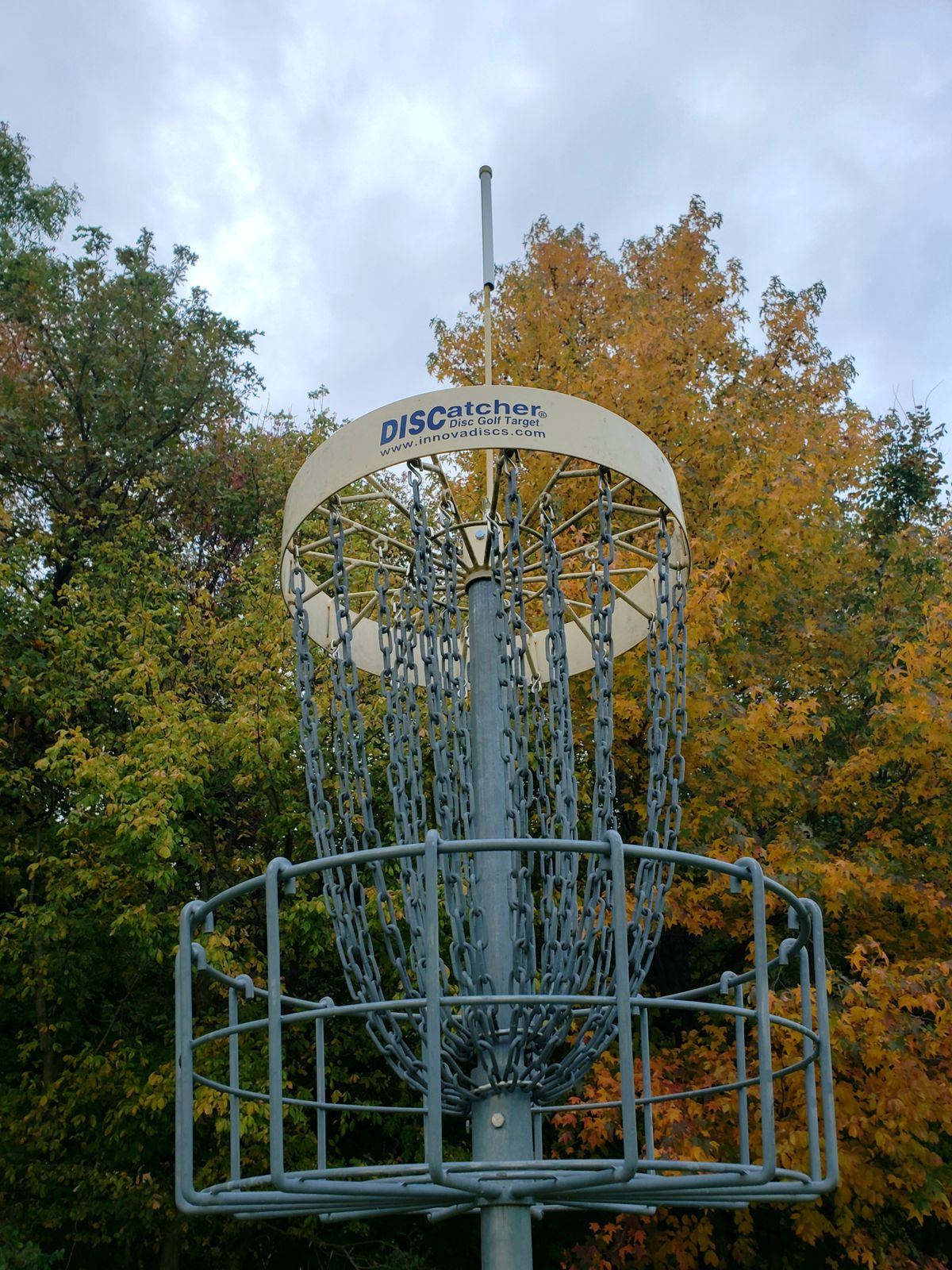 Hole 15 basket.