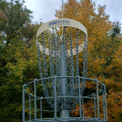 Hole 15 basket.