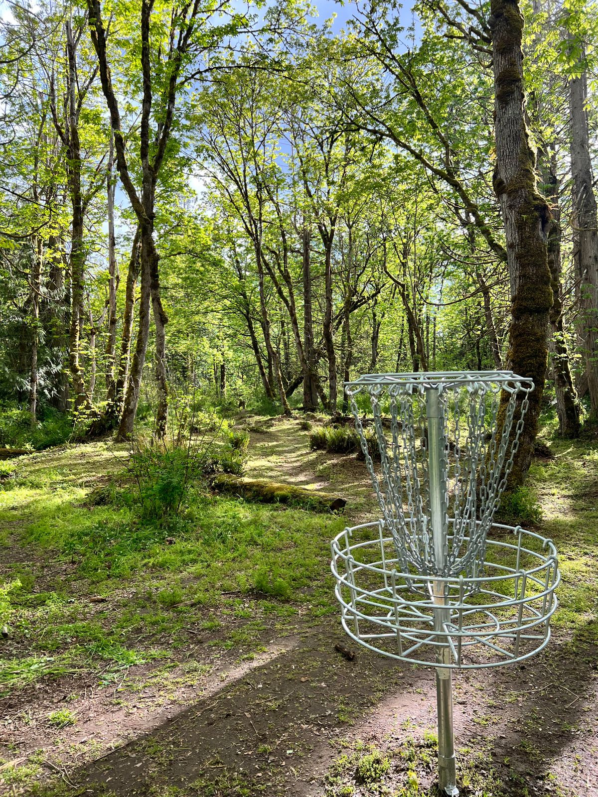 Summer hole 3
