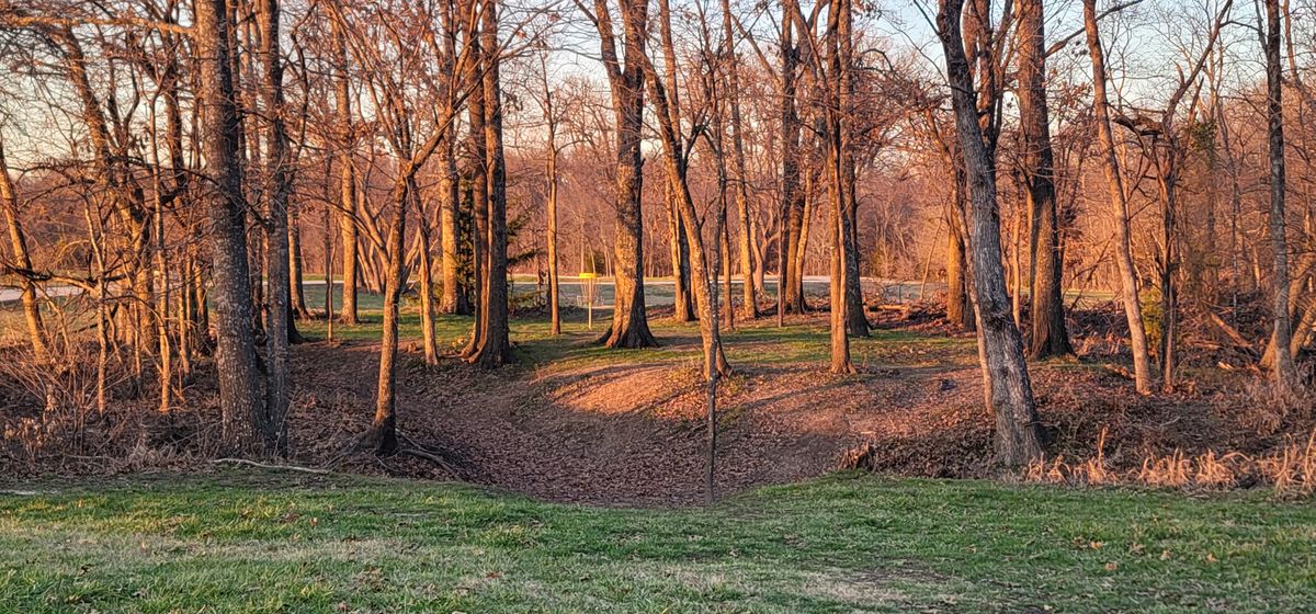 hole 10 long pin