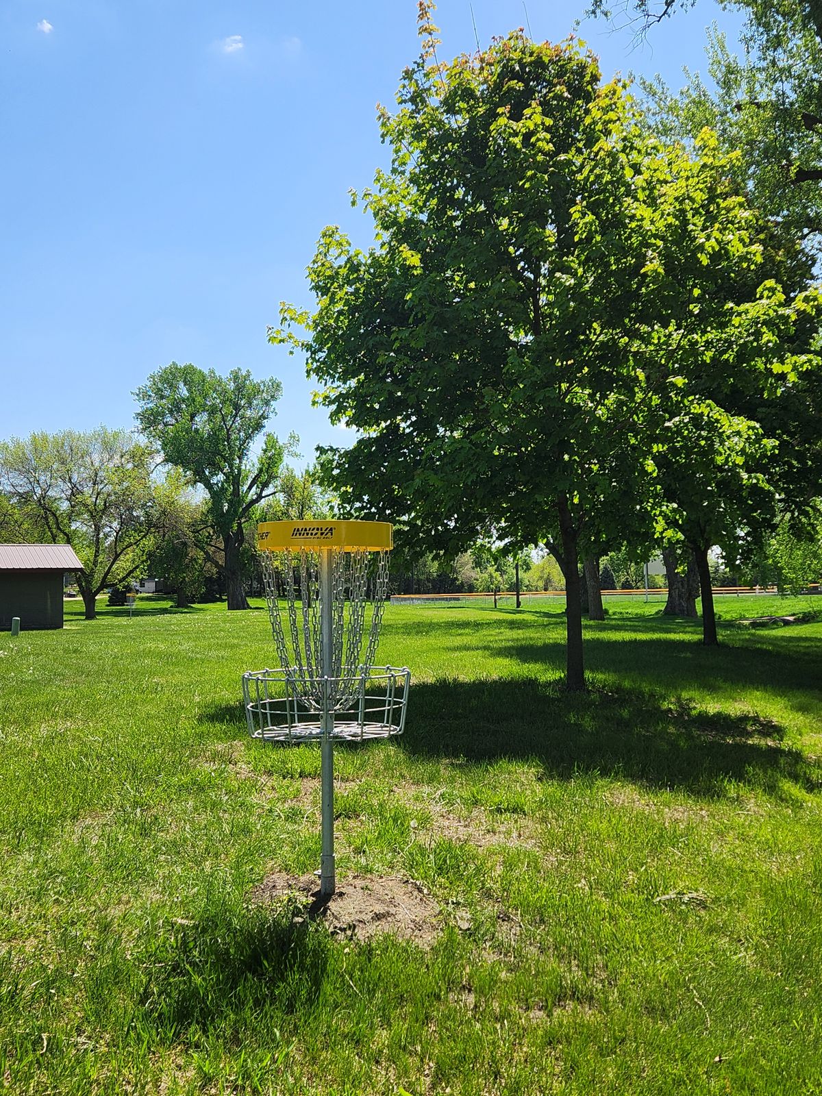 Hole 6 Basket
