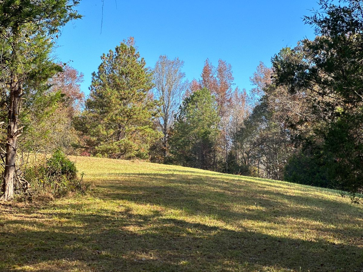 From Landing Zone
To Tee 