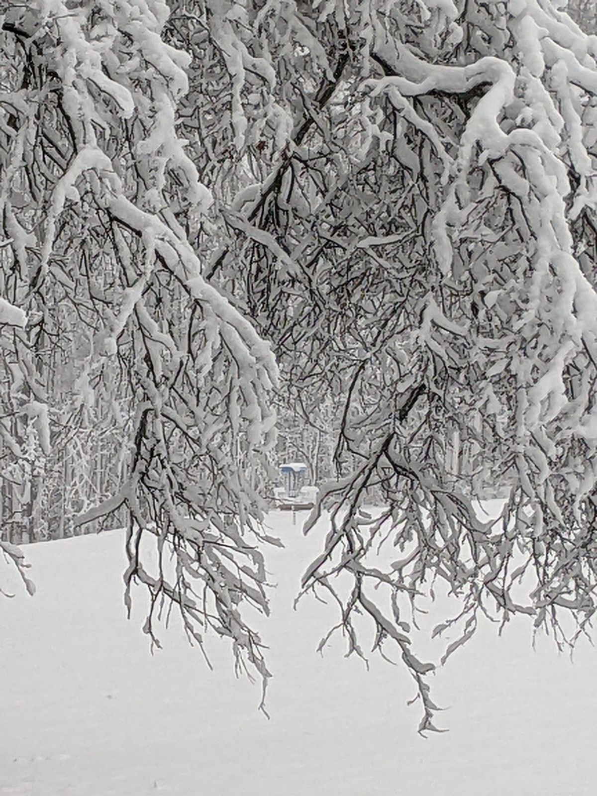 Winter changes the fairway on hole 3