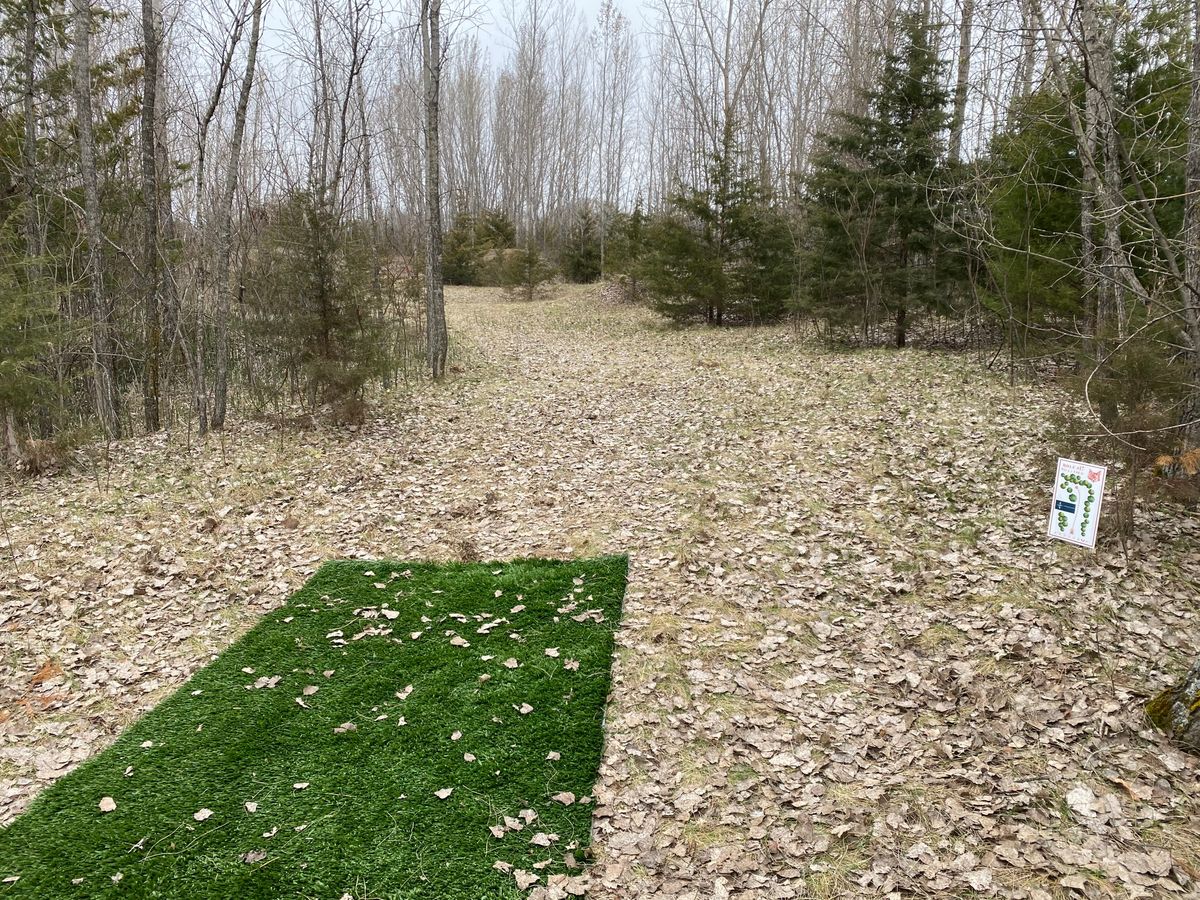 Hole 17 (April 2021)