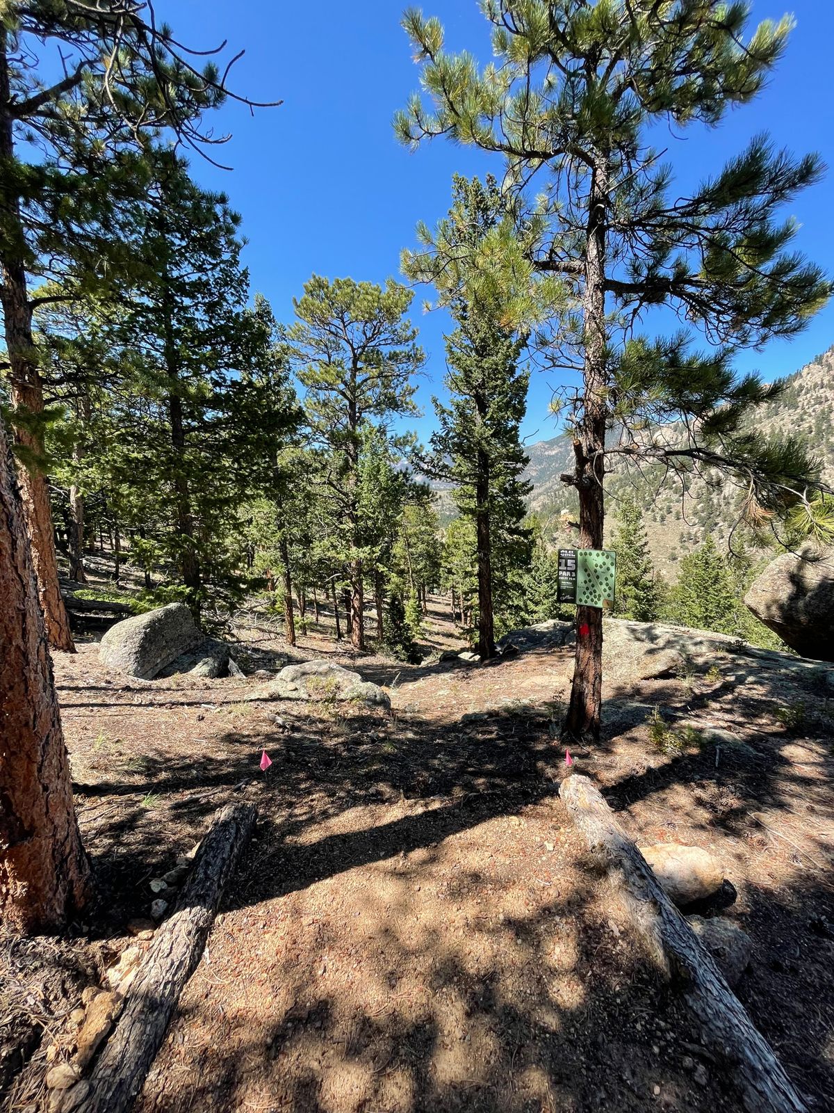Hole 15 tee