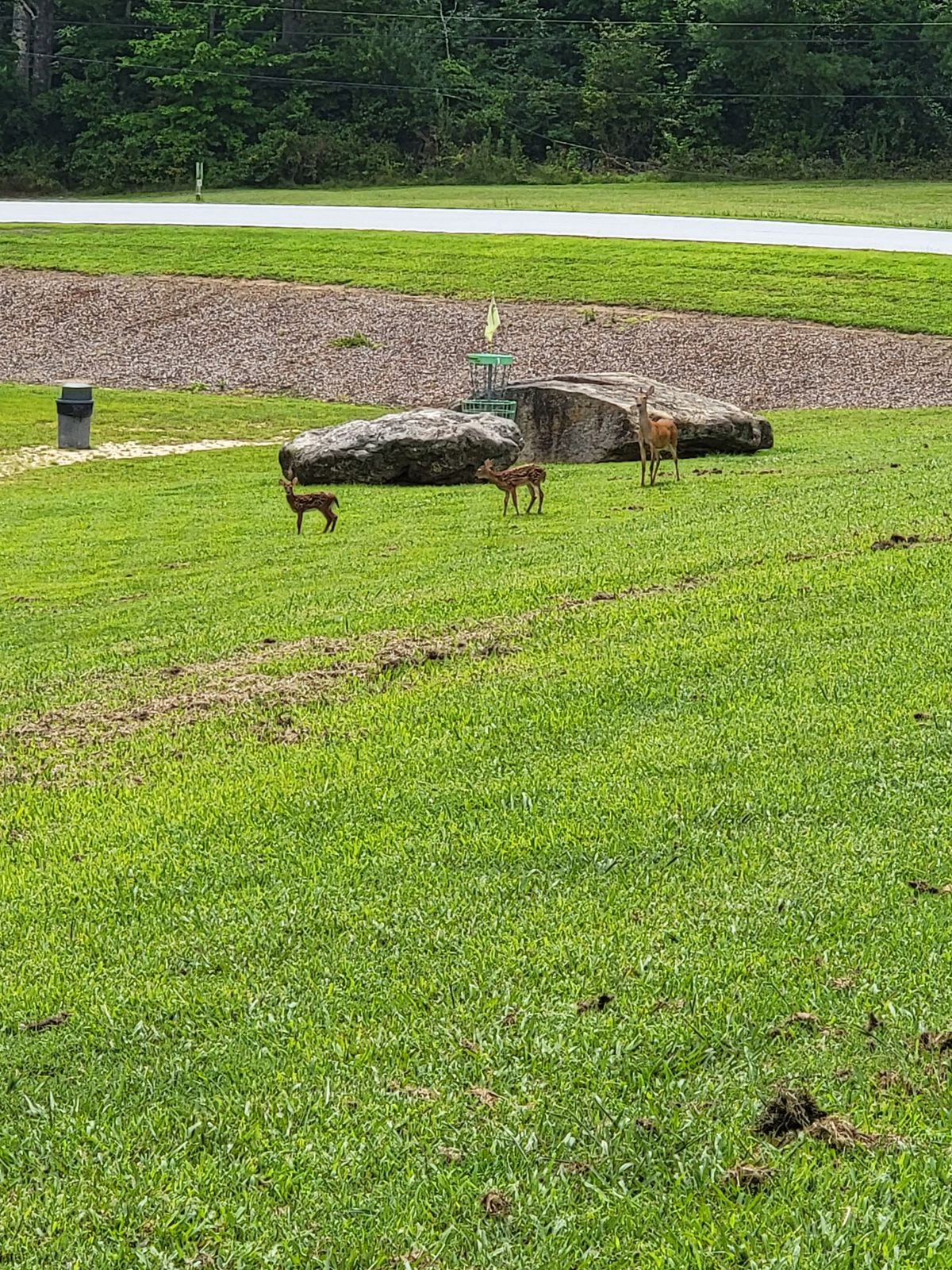 Hole 1